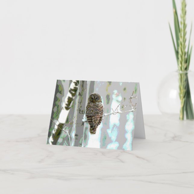 Cartão Owl In The Snow (Frente)