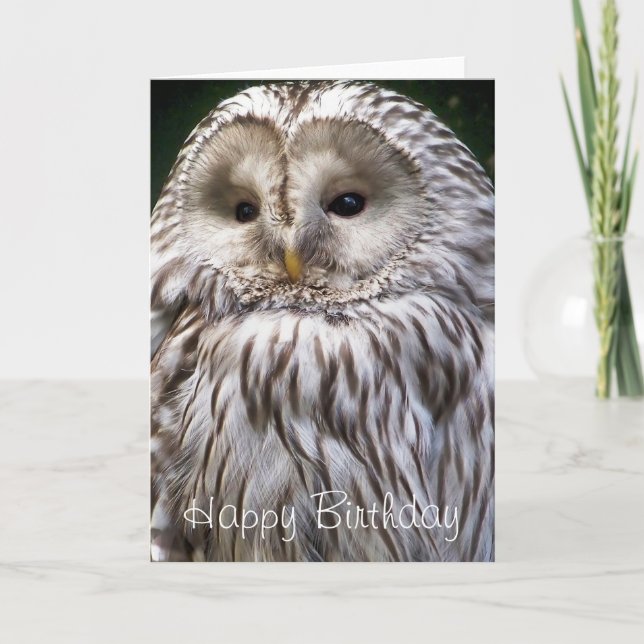 CARTÃO OWLS (Frente)