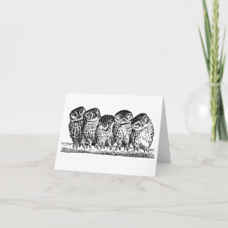 CARTÃO OWLS ON BRANCH NOTECARD