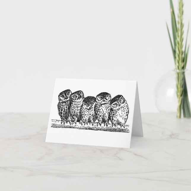 CARTÃO OWLS ON BRANCH NOTECARD (Frente)
