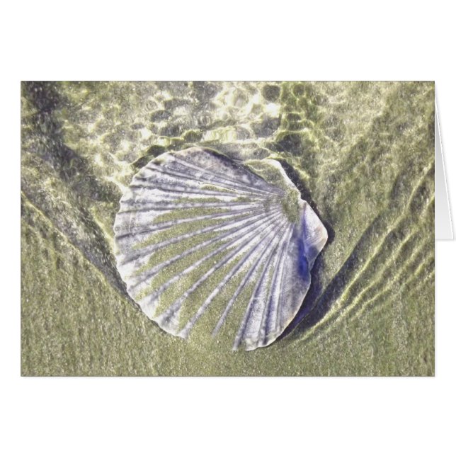 Cartão Oyster Shell Embaixo da Água (Frente Horizontal)