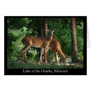 Cartão Ozark Deer (Título)