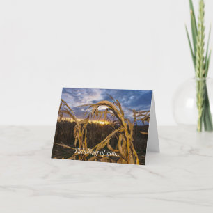Cartão Ozarks Harvest Thinking Of You Card