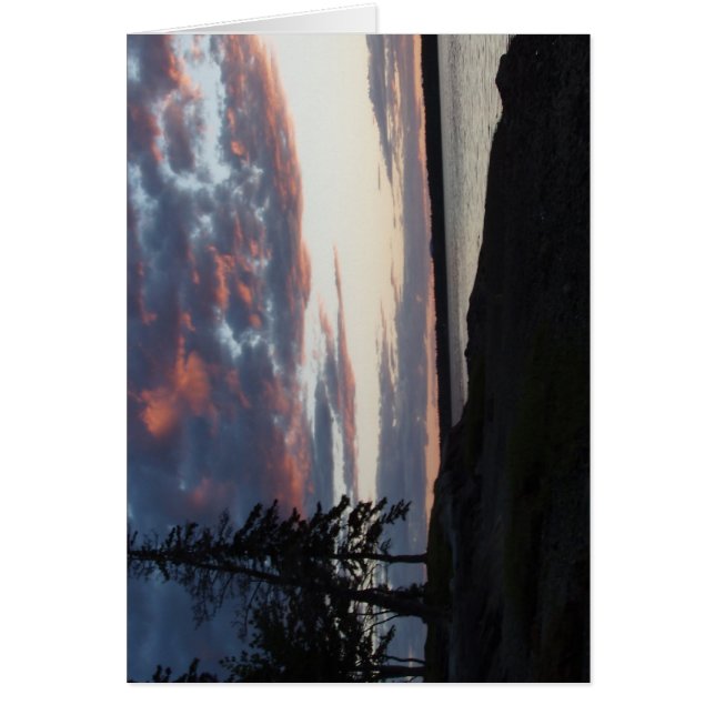 CARTÃO P4240029 (Frente)