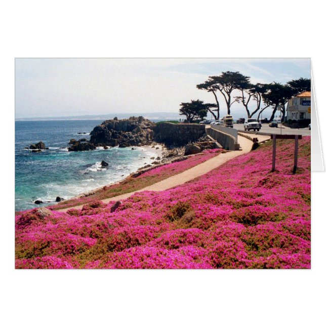 Cartão Pacific Grove-Monterey Calif (Frente Horizontal)