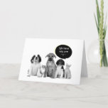 Cartão PACK OF PUPPIES SAY HAPPY "1st" BIRTHDAY<br><div class="desc">How CUTE is this pack puppies? They cannot wait to say HAPPY 1st BIRTHDAY to the special little on in "your life"</div>