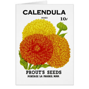 Cartão Pacote de Semente de Vintage Calendário