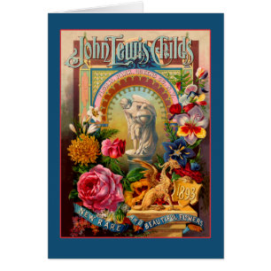 Cartão Pacote raro da semente de flores de John Lewis