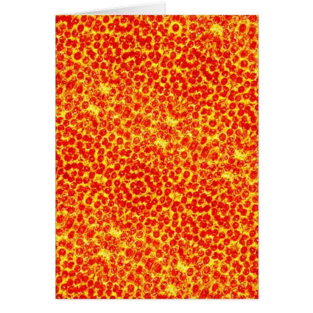 Cartão Padrão de Pizza Grande (Frente)