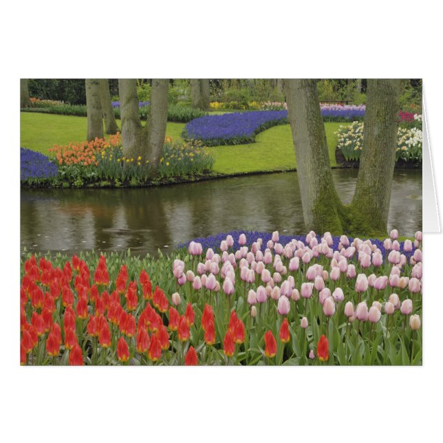 Cartão Padrão de tulipas e flores de jacinto de uva, (Frente Horizontal)