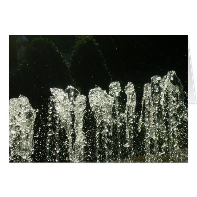 Cartão Padrões da Natureza (Frente Horizontal)