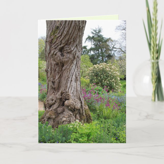 Cartão Padrões de latidos texturizados de Árvore Cinza Hi (Frente)