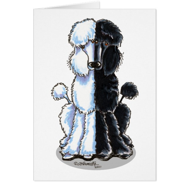 Cartão Padrões duplos (Frente)