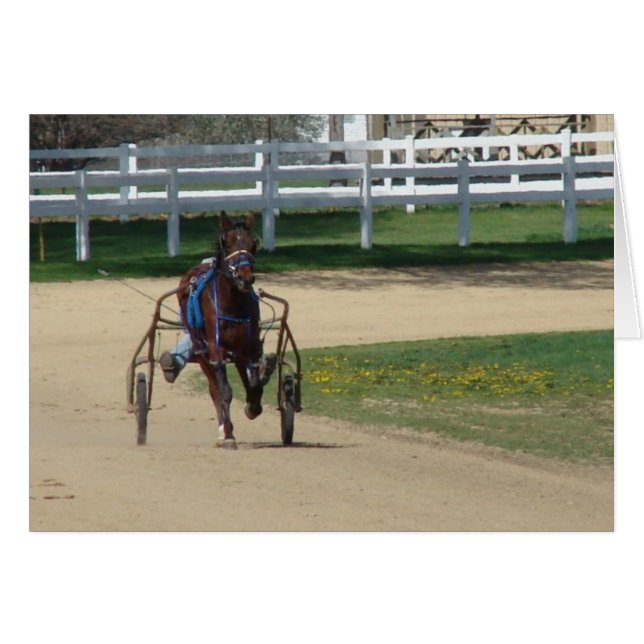 Cartão Padronizado (Frente Horizontal)
