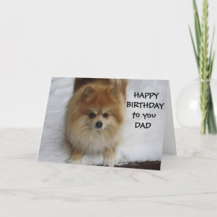 CARTÃO "PAI" FELIZ ANIVERSÁRIO DIZ O POMERANO