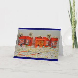Cartão Paint Bucket Puppy Card
