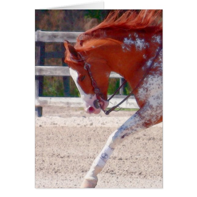 Cartão Paint Horse (Frente)