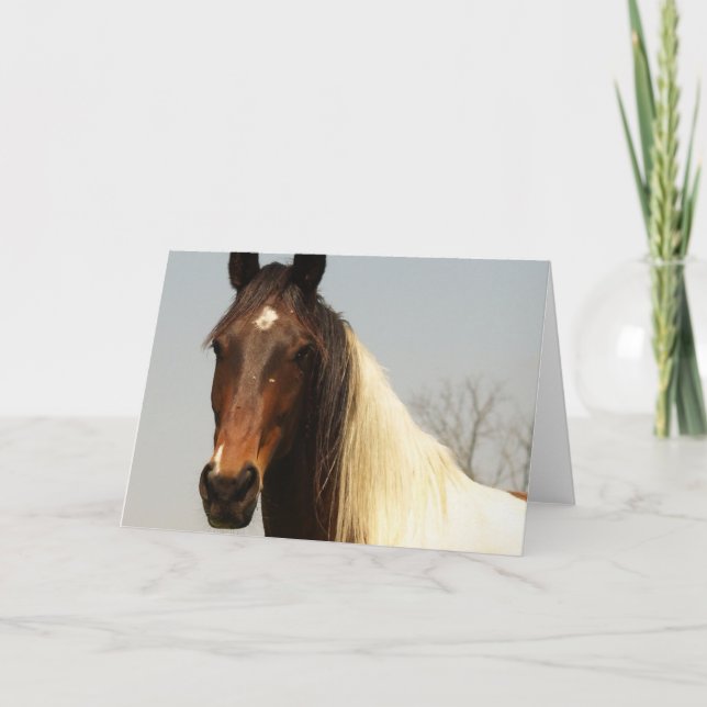 Cartão Paint Horse Greeting Card (Frente)
