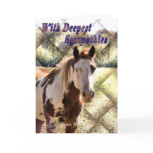 Paint Horse Sympathy card