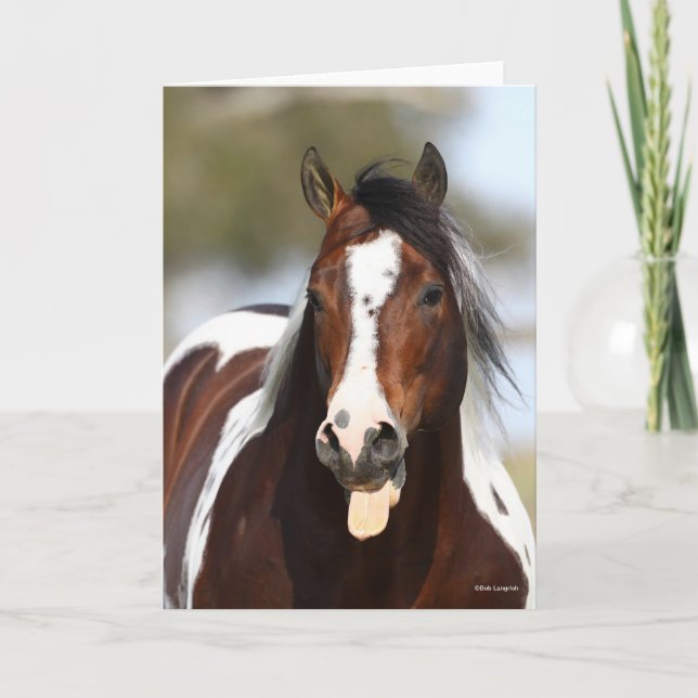 Cartão Paint Stallion com Tongue Out Headshot (Frente)