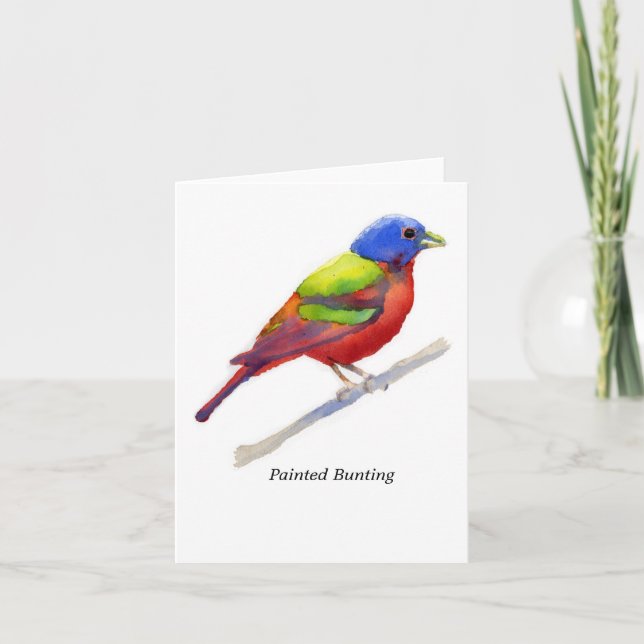 Cartão Painted Bunting (Frente)