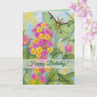 Cartão Painted Petals - Lantana Card