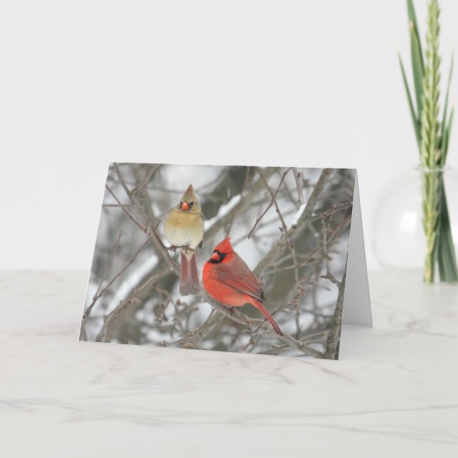 Cartão Pair Of Northern Cardinals (Frente)