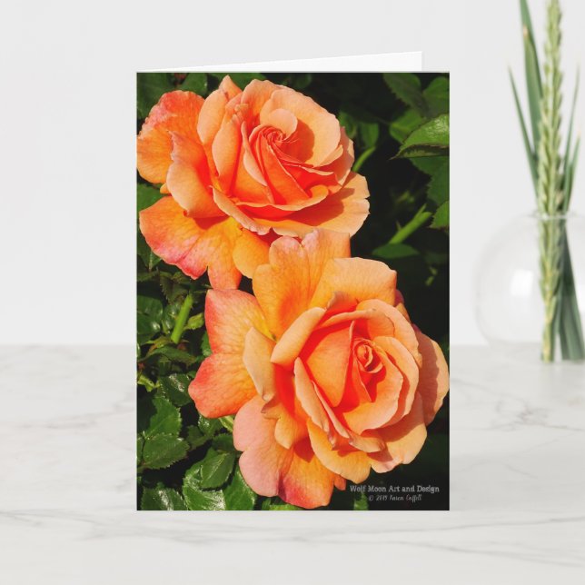 Cartão Pair Of Orange Rose Blossoms (Frente)