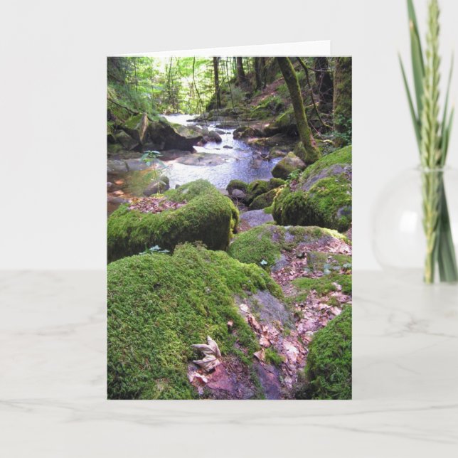 Cartão País Creek (Frente)