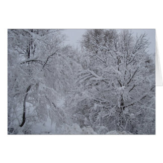 Cartão País das maravilhas do inverno