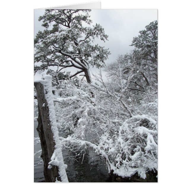 Cartão País das maravilhas II do inverno (Frente)