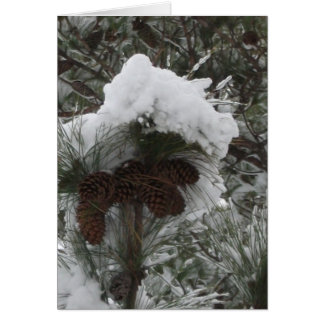 Cartão País das maravilhas III do inverno