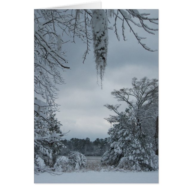 Cartão País das maravilhas IV do inverno (Frente)