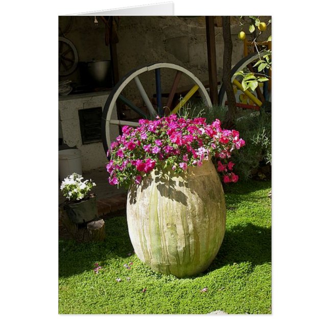 Cartão País Vase (Frente)