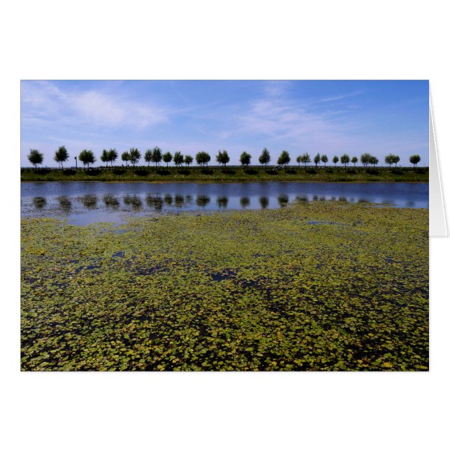 Cartão Paisagem (Frente Horizontal)