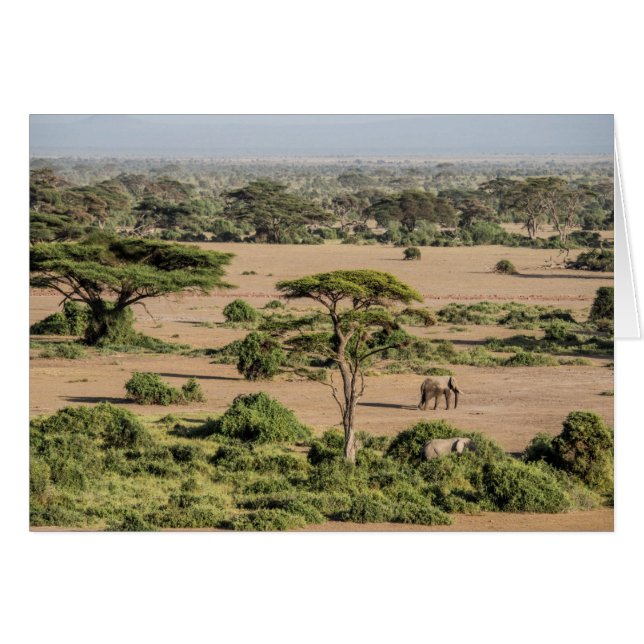 Cartão Paisagem Africana com Elefante (Frente Horizontal)