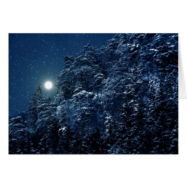 Cartão Paisagem bonita do inverno com árvores cobertos de (Frente Horizontal)