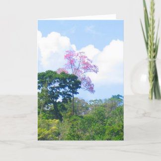 Cartão Paisagem da selva Venezuela, árvore rosa-rosa