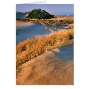 Cartão Paisagem das Dunas de Areia de Oregon