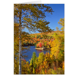 Cartão Paisagem de árvore de outono, Maine