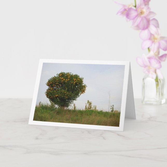 Cartão Paisagem de Árvore Mandarina Valenciana (Orquídea)
