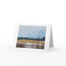 Paisagem de inverno da Montanha Russa