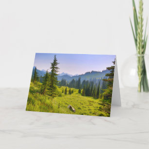 Cartão Paisagem de Montanha e Floresta Estado de Washingt