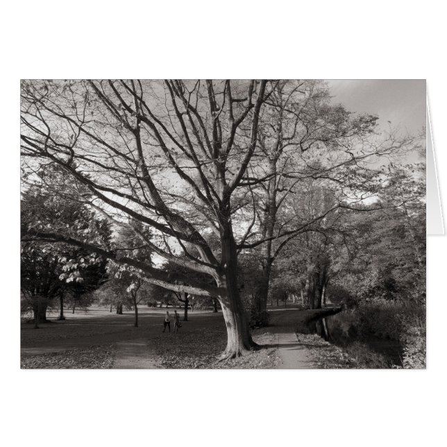 Cartão Paisagem de outono, Parque de Bute, Cardiff (Frente Horizontal)