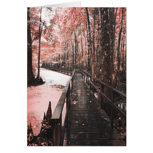 Cartão paisagem de sonho de pântano (Frente)