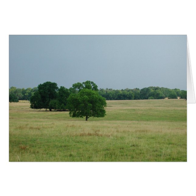 Cartão Paisagem do Alabama (Frente Horizontal)