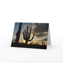 Paisagem do Deserto de Arizona Saguaro Sunset II