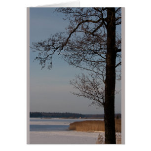 Cartão Paisagem do inverno com árvore CC0370