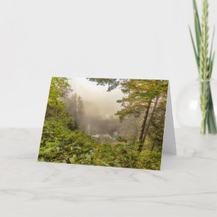 Cartão Paisagem Florestal e Oceânica