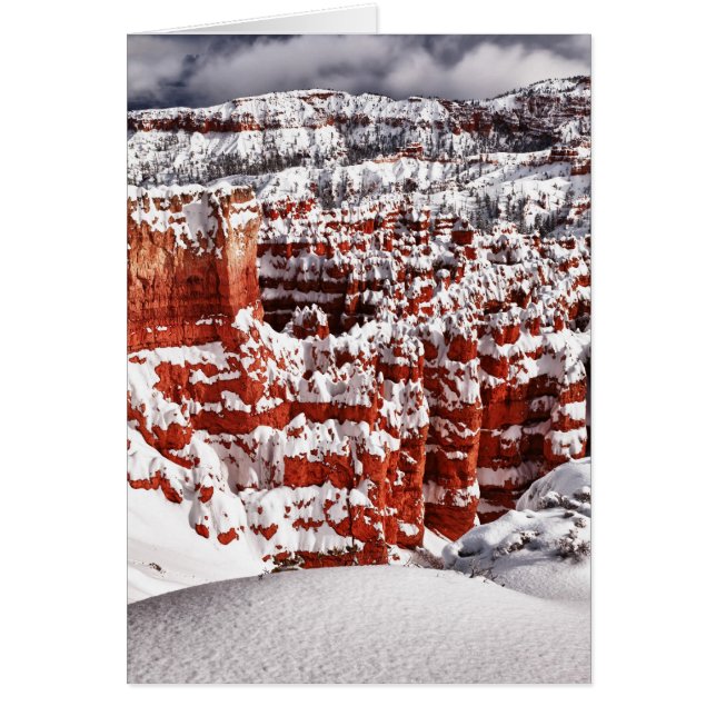 Cartão Paisagem fosco (Frente)